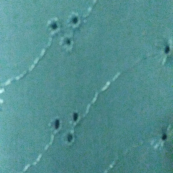 Shift 1960 dress - Picture 4 of 4